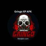 Gringo XP APK