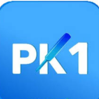 PK1 Game App APK Earn Real Money in Pakistan New 2026